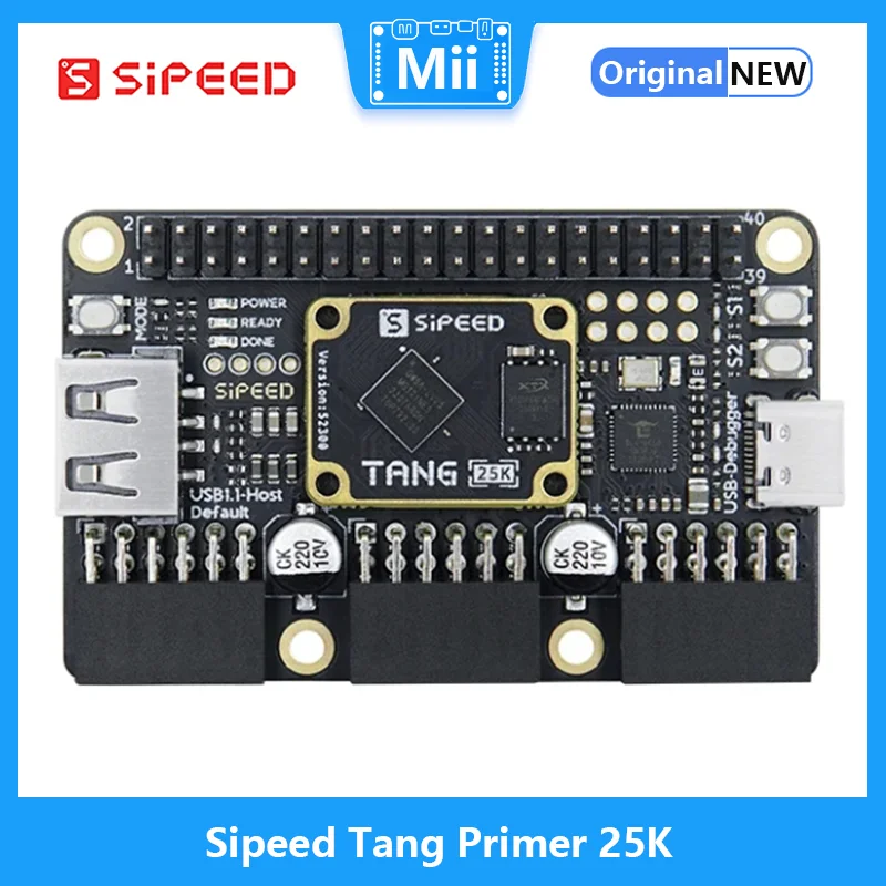 لوحة تطوير GW5A RISCV FPGA ، S - مراجعة Lora Rfm95 وسعره